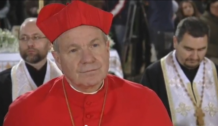 Кристоф кардинал Шенборн закликав Австрію до молитви та посту за Україну