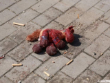 Дитяча іграшка в крові після ракетного удару по вокзалу Краматорська, 8 квітня 2022 року